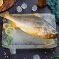 国联 宁德大黄鱼净重1kg/三条装