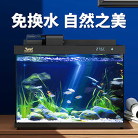 森森 金麟超白智能鱼缸一体缸自循环  过滤升级自动喂食 38cm长 水榕景 加热棒