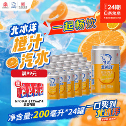 北冰洋 橙汁汽水 200ml