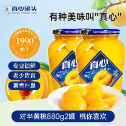 真心食品 黄桃罐头 880g