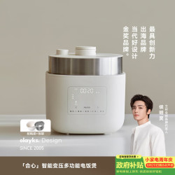 欧莱克 立时无涂层智能变压电饭煲电压力锅家用多功能电高压锅快煮预约压力锅婴儿辅食锅4L适用4-6人