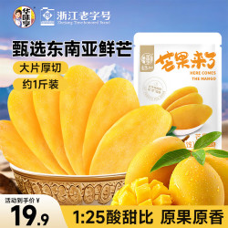 华味亨 芒果干 400g