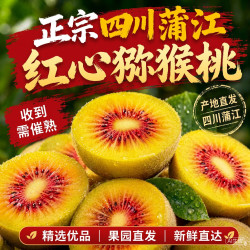 京世泽 蒲江猕猴桃 红心猕猴桃 奇异果 应季时令水果 20个礼盒装