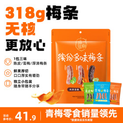溜溜梅 缤纷装318g梅条 孕妇儿童 解馋 办公室休闲零食