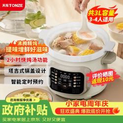 天际 电炖锅 煲汤锅 沸炖系列家用陶瓷全自动炖汤锅煮粥养生多功能炖锅 电炖锅煲汤3-4人