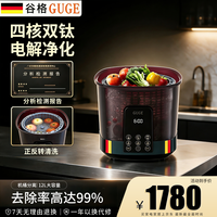 谷格 德国果蔬清洗机家用全自动净化去除农药残留蔬菜