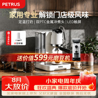 柏翠(petrus)半自动意式咖啡机小型家用自动打奶问月ProPE3811Pro送磨豆机
