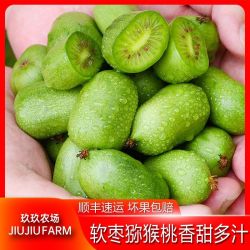 玖玖农场 丹东软枣猕猴桃青皮奇异莓新鲜水果顺丰现摘2/3斤整箱