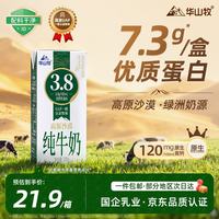 华山牧 高钙 纯牛奶  3.8蛋白 10盒 200g