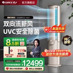 格力 KFR-72LW/NhCa1BG 新一级能效新风立柜式空调