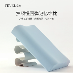 堂皇 人体工学记忆棉枕头慢回弹护颈枕助睡眠单人一只装