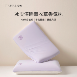 堂皇 凉感记忆棉深睡枕头护颈椎助睡眠单人一只装睡觉专用