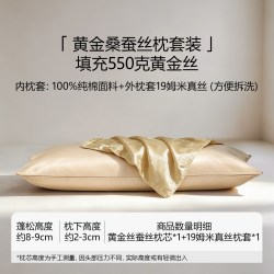 邵氏家纺 金蚕1号100%黄金桑蚕丝+纯棉内套19姆米真丝枕套可拆洗枕头蚕丝枕