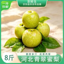 京鲜生 河北青翠蜜梨 净重8斤 单果220g+ 生鲜水果 源头直发