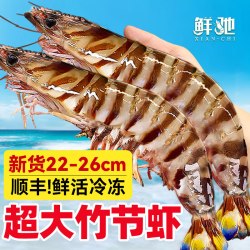 九节虾斑节虾竹节虾海鲜黑虎虾基围虾特大超大虾鲜活速冻水产海虾