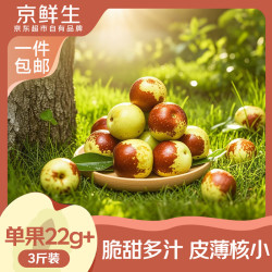 京鲜生 陕西大荔冬枣 大果 净重3斤 单果20g+ 生鲜水果 源头直发