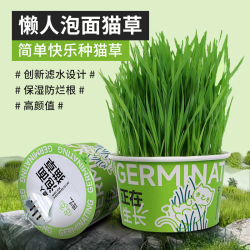 欢宠网 猫草种子盆栽套装懒人罐头水培土培种植猫零食猫咪化毛球片猫薄荷