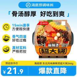 海底捞 自热火锅 方便速食分享装 东北风味麻辣烫超大锅366g