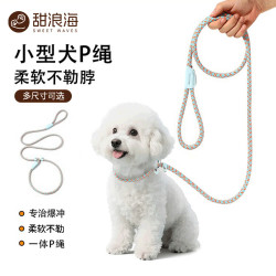甜浪海 狗狗绳子防爆冲P绳P链子牵引绳项圈大型中小型犬狗链防挣脱溜遛狗