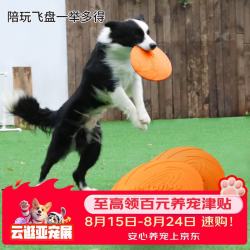 疯狂的主人 狗狗训练玩具犬飞盘磨牙耐咬边牧金毛互动解闷户外宠物用品玩具