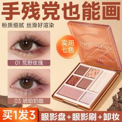 AKF眼影盘多色万能型腮红高光一体盘大地色化妆师专用眼部修容03