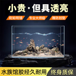 坤宁王 金晶超白玻璃鱼缸50一体缸家用小型造景缸客厅桌面溪流缸50*26*30