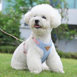 艾风格 狗狗牵引绳 防挣脱宠物胸背带泰迪比熊小型犬狗狗胸背 孔雀蓝 XS