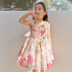 大卫查尔斯 DAVIDCHARLES大卫查尔斯女童印花网纱连衣裙春夏新款