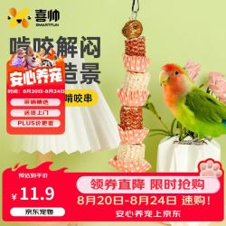 喜帅 鹦鹉啃咬串天然玉米芯鹦鹉玩具磨嘴零食啃咬解闷玩具鸟笼造景用品