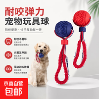 狗狗玩具训狗球耐咬球磨牙解闷神器大型犬训练带绳球宠物玩具球21 三环橘紫色