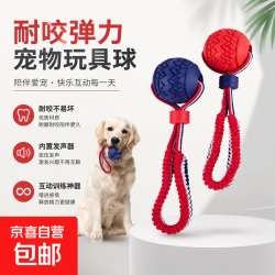 狗狗玩具训狗球耐咬球磨牙解闷神器大型犬训练带绳球宠物玩具球21 三环橘紫色
