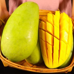 果迎鲜 凯特芒果 攀枝花产地 单果300-400g 净重8.5斤