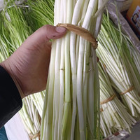 文枝 新鲜水芹菜 5斤 根茎类蔬菜