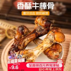 HELLOJOY 狗狗零食大骨头磨牙棒耐咬无添加真牛骨 烘烤乳牛棒骨80g