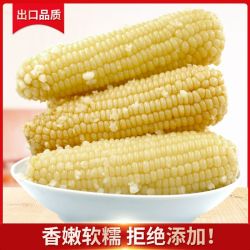 穗康 玉米新鲜糯玉米棒甜糯真空无添加非转基因黏白糯粘糯米整箱