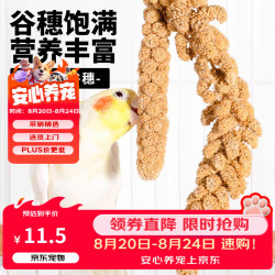 捕渔达人鹦鹉零食棒谷穗麦穗谷子鸟粮饲料训练奖励小零食虎皮玄凤牡丹专用