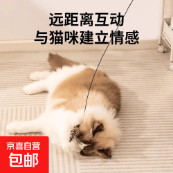 京东 CFA赛级逗猫棒猫咪玩具小飞虫羽毛替换头耐抓咬幼猫用品自嗨解闷 木柄逗猫棒+白羽毛*3
