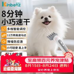 金宠仕 宠物手持吹水机便携吹风机速干降噪猫咪狗狗洗澡吹干大风美容洗护