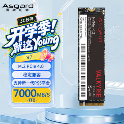 阿斯加特 V7 1TB SSD固态硬盘 M.2接口(NVMe协议) PCIe 4.0 读速高达7000MB/s 支持新一代PS5平台