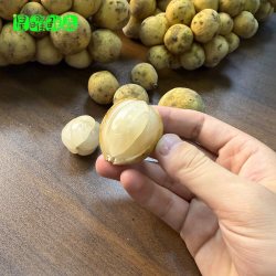 泰国龙宫果新鲜水果椰色果爱情果顺丰冷链包邮酸酸甜甜稀有水果
