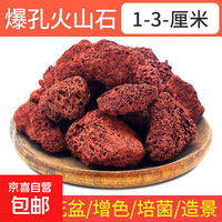 火山石乌龟缸养鱼鱼缸专用造景底砂石头水草泥天然底部砂石 火山石1-3cm1斤