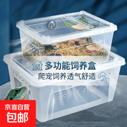 专业爬宠饲养盒爬虫人渣盒大中小号树栖盒小方箱盒蜘蛛双开防越狱 饲养箱大号