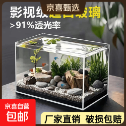 金晶超白鱼缸客厅桌面小鱼缸玻璃草缸龟缸懒人家用生态造景水族箱 长30CM宽18CM高20CM（厚度5MM）