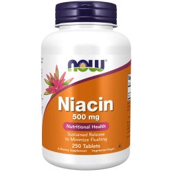 NOW Foods 维生素B3 缓释片 500mg 成人营养补充 250片