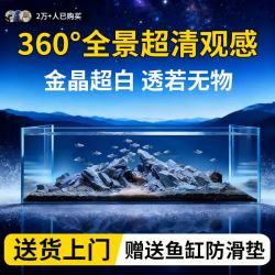 漫天星金晶五线超白鱼缸客厅玻璃缸家用水草生态缸办公室长方形玻璃裸缸 长50*宽35*高35cm
