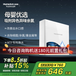 汉斯顿 净水器家用直饮厨房超滤净水机过滤器保留矿物质HSD-320EY