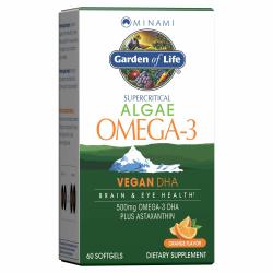 Garden of Life Minami Algae Omega 3 素食 DHA 促进大脑和眼睛健康 - 橙味,500 毫克植物基 DHA Omega-3 素食藻油和虾青素,无回味,60 粒易于吞咽的迷你软胶囊