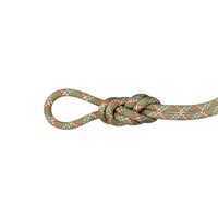 Mammut 猛犸象 9.5 健身经典绳子 | 室内攀岩用登山绳 | 50 米,蟒蛇白