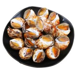 海螺花螺*1斤