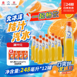 北冰洋 精制桔汁汽水 248ml